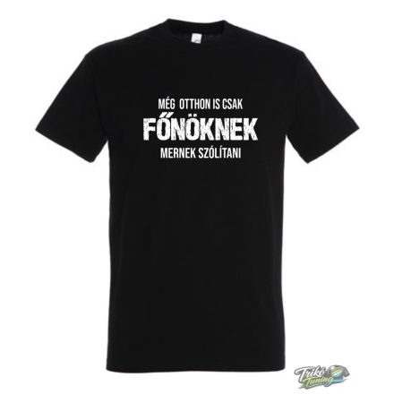 MÉG OTTHON IS CSAK FŐNÖKNEK MERNEK SZÓLÍTANI